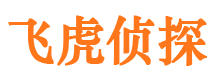 洮北市侦探公司